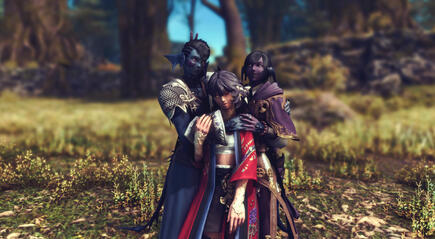 The Gays (tm)